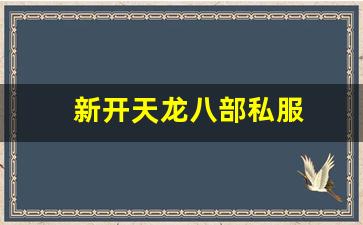 新开天龙八部私服 (6)
