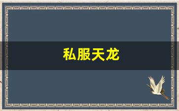 天龙怀旧：私服天龙 (11)