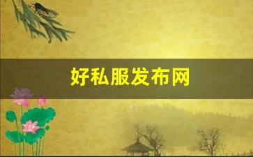 天龙八部私：好私服发布网 (9)
