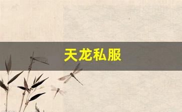 天龙八部私服一条龙：天龙私服(天龙手游官网) (5)